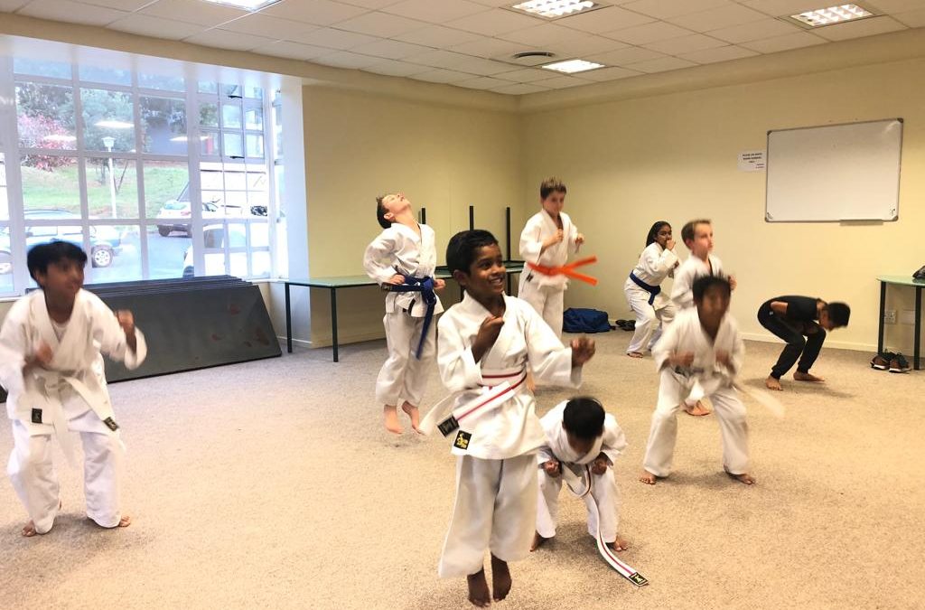 Karate lessons Grand Baie